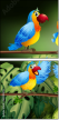 69310378