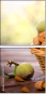 69327297
