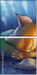 69445331
