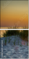 69455615