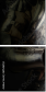 69546353