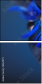 69641172