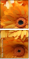 701850992
