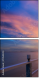 70545313