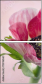 70746560