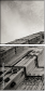 71100716