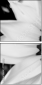 71181016