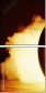 71231906