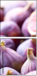 71518777