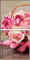 71786223