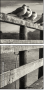 72072664