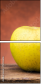 72103606
