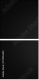 733952604