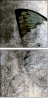 73878760