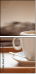 74436678