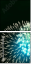 74444350