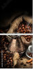 74493123