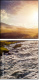 74834150