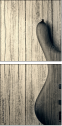 75167527