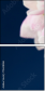 75628486