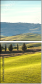 75685044