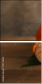 75721654