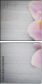 76039609