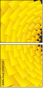 76117324