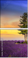 76125130
