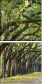 76209403