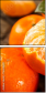 76269627