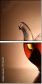 77315677