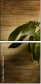 78022660