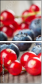 78244619