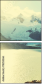 78253266