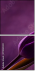 79035921