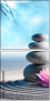 81478947