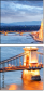 81906006