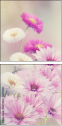 84071220