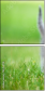 85494718