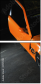 9199482