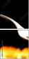9303039