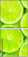 96318225