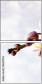 96427255