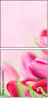 99014278