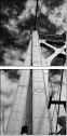 998443
