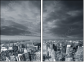 11361747