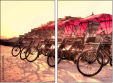 16482006