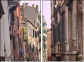 20333502
