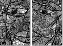 229082617
